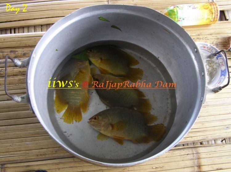 









หุ้นมาพรุ่งปรี๊ด เอาอิตอน เม