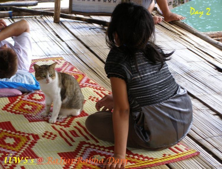 






ขออนุญาต ท้าวความนิดหนึ่งครับ
