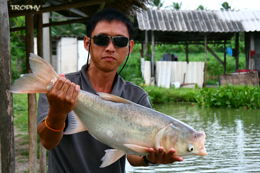 ในที่สุดน้าจิ้นก็เอาตัวใต้น้ำขึ้นมาให้ดูว่ามีจริงๆ ไซด์รับแขกที่นี่ประมาณ 3 โล ขึ้นครับ  :cheer: