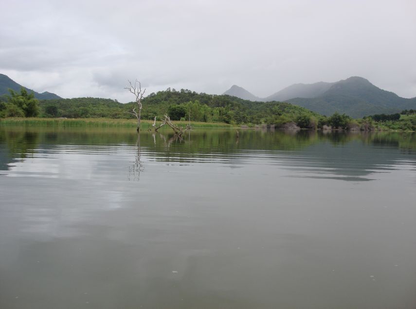 ....วันที่ผมไปผมยืมเรือชาวบ้านพายเลาะถ่ายรูปดูครับด้านกลางน้ำตามตอไม้ขึ้นจิบหนาตัวครับ :grin: :grin: