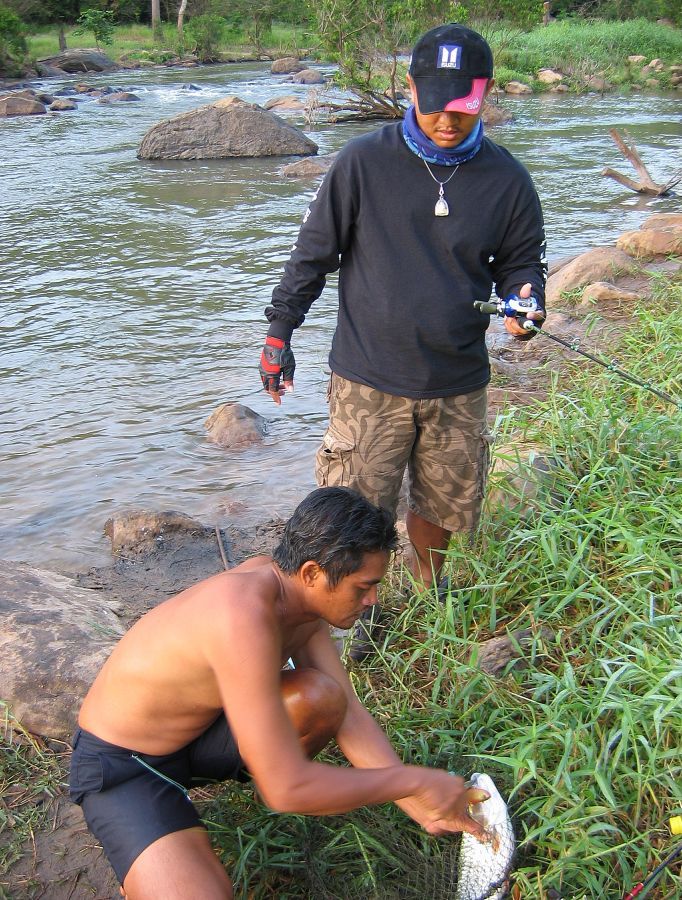 หลังจากพี่โถนำปลาไปล่ามไว้แล้วเดินกลับมานายเชาว์ก็โดนปลากัดอีกแล้วครับ แต่คราวนี้พี่โถไม่ต้องกู้ครับ