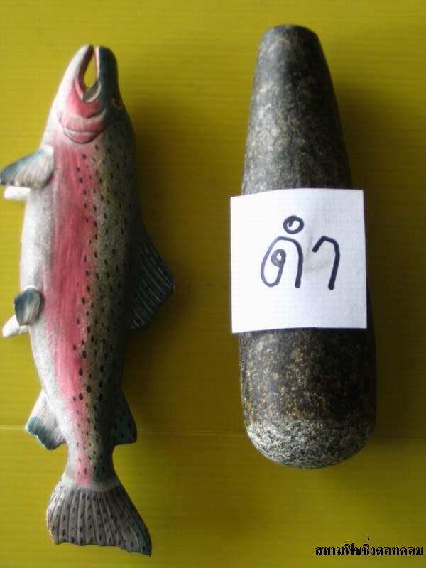 ทายซิ...............ปลาอะไร?

(รูปของน้าครีบเหลือง)
