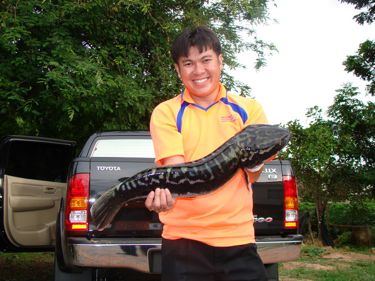 พิกัดชั่งที่บ้าน ๔.๒ ก.ก. ไม่เสียเปล่