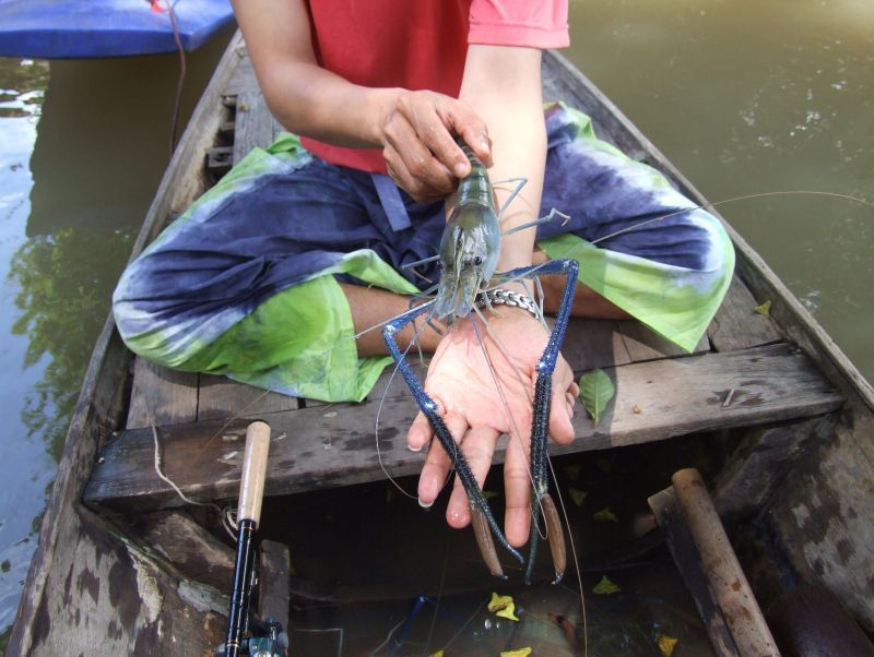 ลากันด้วยภาพนี้ครับ ส่วนตัวเล็กๆไม