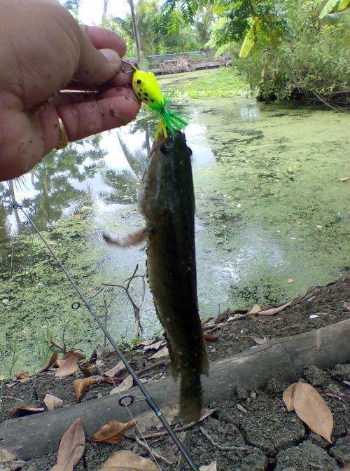 ได้ทีเอาอีกในอู่เรือเลย ตบเด็กซะแล