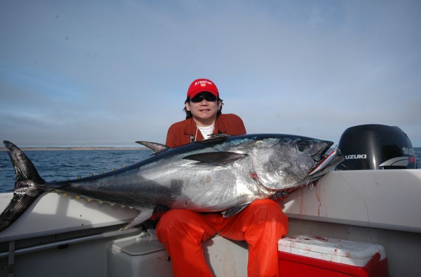 ฝันเป็นจริงที่ Cape Cod