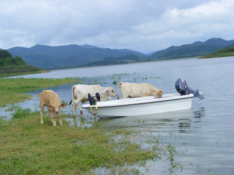 ๐๐๐ไปเจิมเรือลำใหม่กับคันเบ็ดคันใหม่๐๐๐เขื่อนปราณบุรี