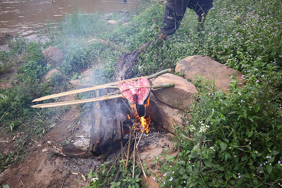 ชำเรืองปลาชะโดย่างไฟ ท้องก็ร้องไปครับ
 :laughing: :laughing: :laughing:



  สวัสดีครับน้าหมอ  