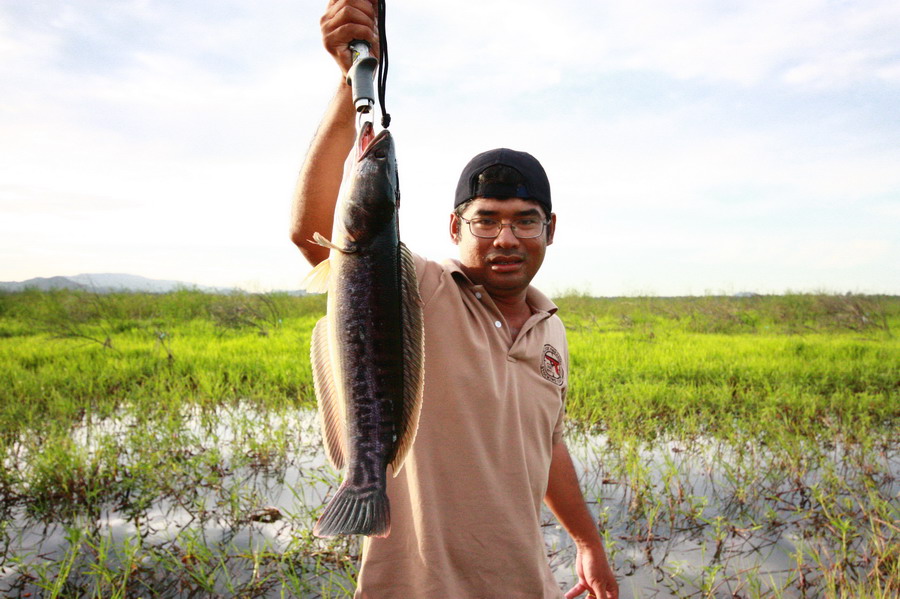 ฝากให้น้าต่าย (พี่เนม)นะคร้าบบบบ  :cool: :cool: :cool:
