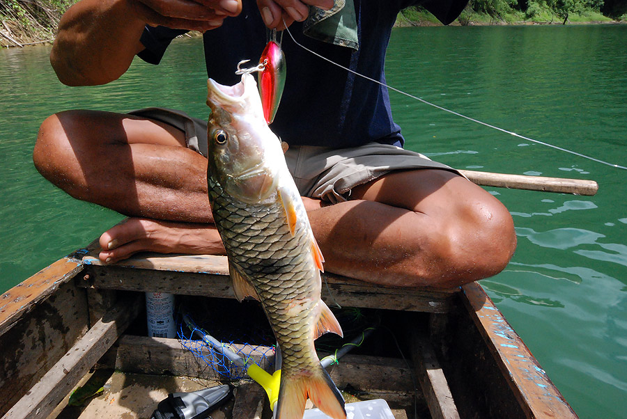 อีกตัว  อิ อิ กระสูบอีก แหละ   :frown: :frown: :sad: :sad:

สวัสดีครับน้าหรั่งfootfish...ว่างๆๆๆทะ