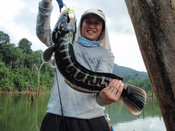 คลองเอกป่าไผ่