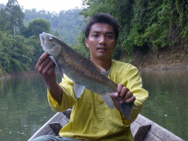นุ ได้ปลาเวียน  ตีสุ่ม  ปลาเวียนก็ เยอะ..