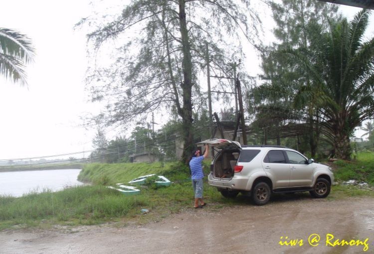 









ฝนยังไม่ทันหยุดตก แค่เบาลงบ้าง

ไอ่คนในรูปก็อยู่ไม่ติดแล้ว วิ่งเข้า วิ่งออกไปเ