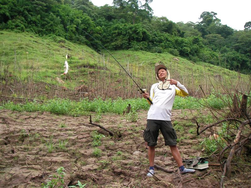 ---------------------------------------------------+++
เล่นของหายากซะด้วย ปลากดเหลืองใซร์กำลังแกงเล