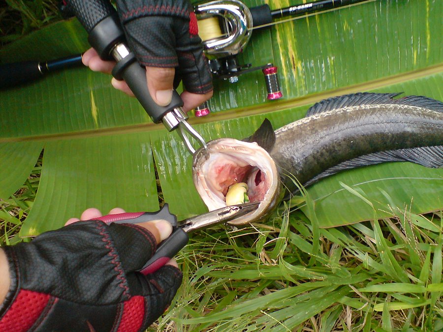ปลดเบ็ดยากอีกงับแบบนี้ :mad: :mad: