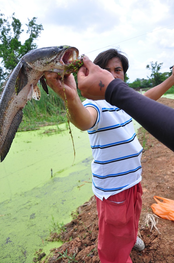 น่าน.....มีมือขยันมาช่วยจัดท่าให้นายแบบซะด้วย :grin: :grin: :grin: