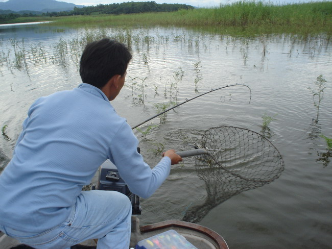 เตรียมตัวเอาขึ้นเรือ   :cheer: