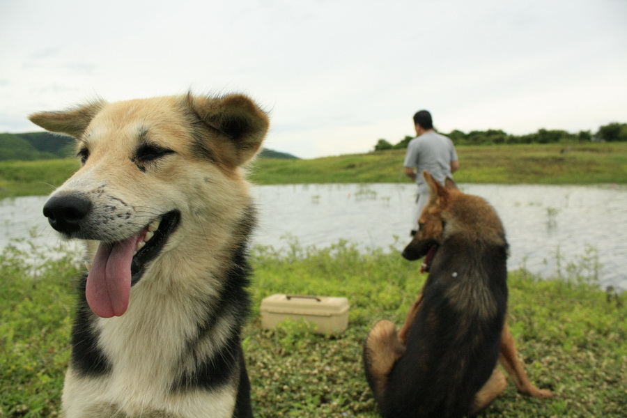 บอดี้การ์ดที่เจ้าของบ้านจัดมาให้ครับ เพื่อความปลอดภัย