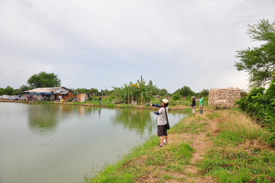 เดินมาอีกนิดเจอน้าแมงโม้....แหมพอเห็นผมกำลังจะถ่ายรูปรีบตีโชว์เลยครับ :ohh: