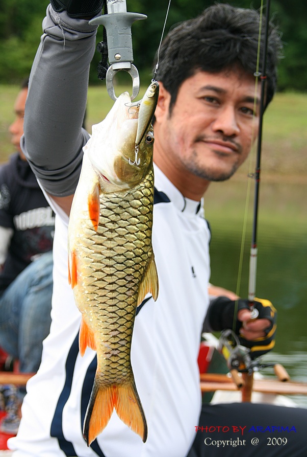  :love: :love: :love: :love: :love: :love: :love: :love:


 [q]โอ้ว....เล่นป๊อบเลยปลาแรด.....   ส