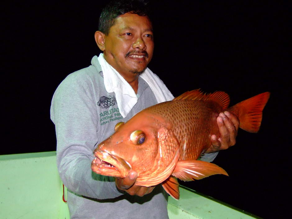 ตัวนี้พี่ไก่ตกได้ แต่ตอนนี้อยู่บ้านผม  :grin:
ทำไรดีน้อ ?
