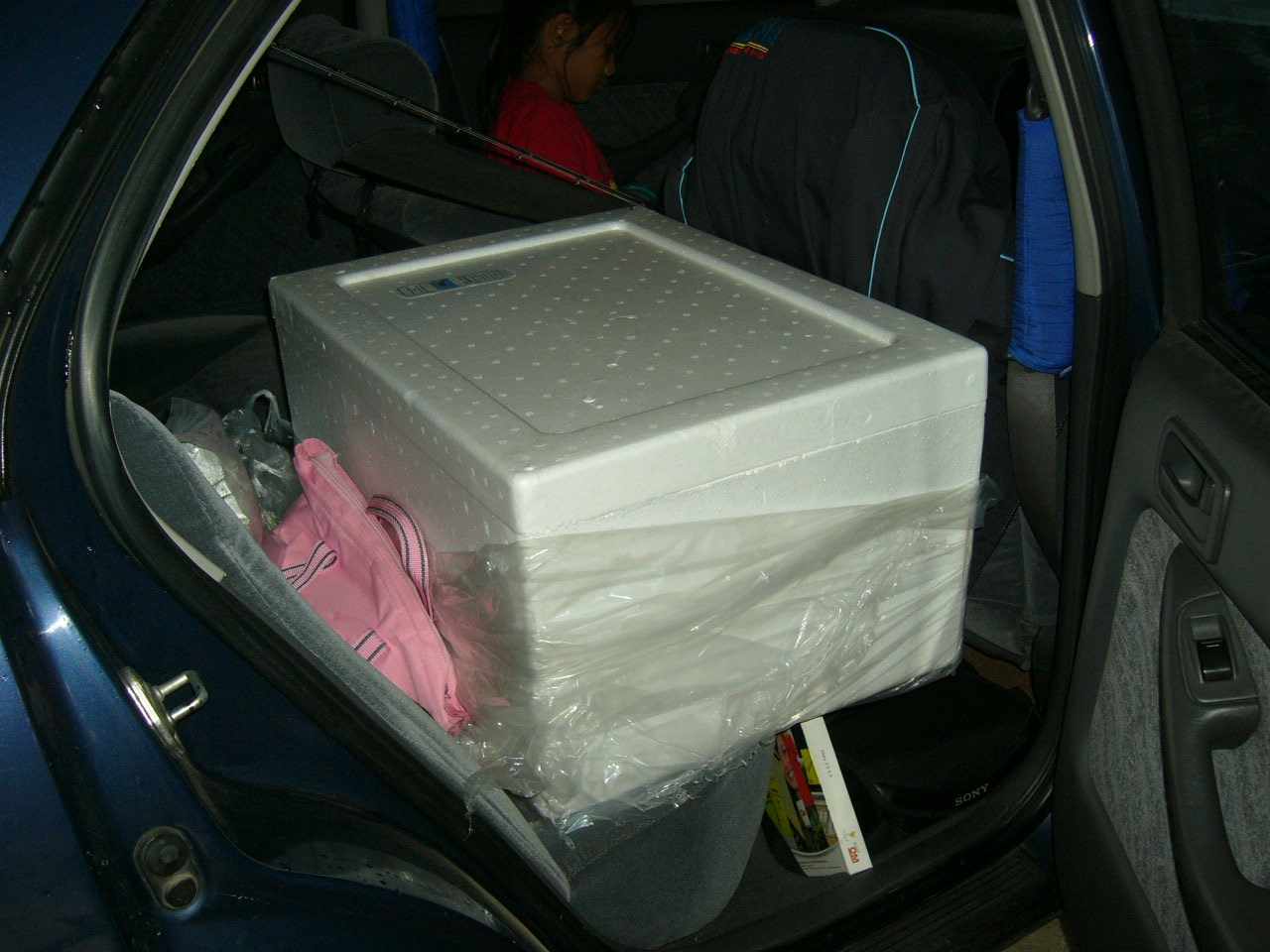 เดือดร้อน....

ต้องหาซื้อลังโฟม กะ น้ำแข็ง เก็บปลา ครับ.....                   ท้ายรถของก็เต็มครับ