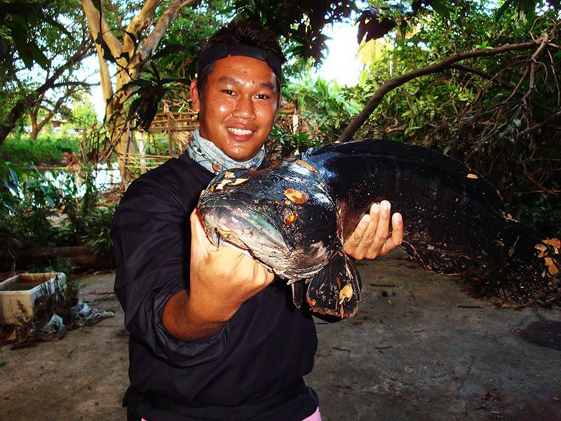 ใหญ่จริงๆ



:grin: :grin: :grin: :grin: :grin:



หวัดดีคับน้า junfishing  ขอบคุณมากคับ

