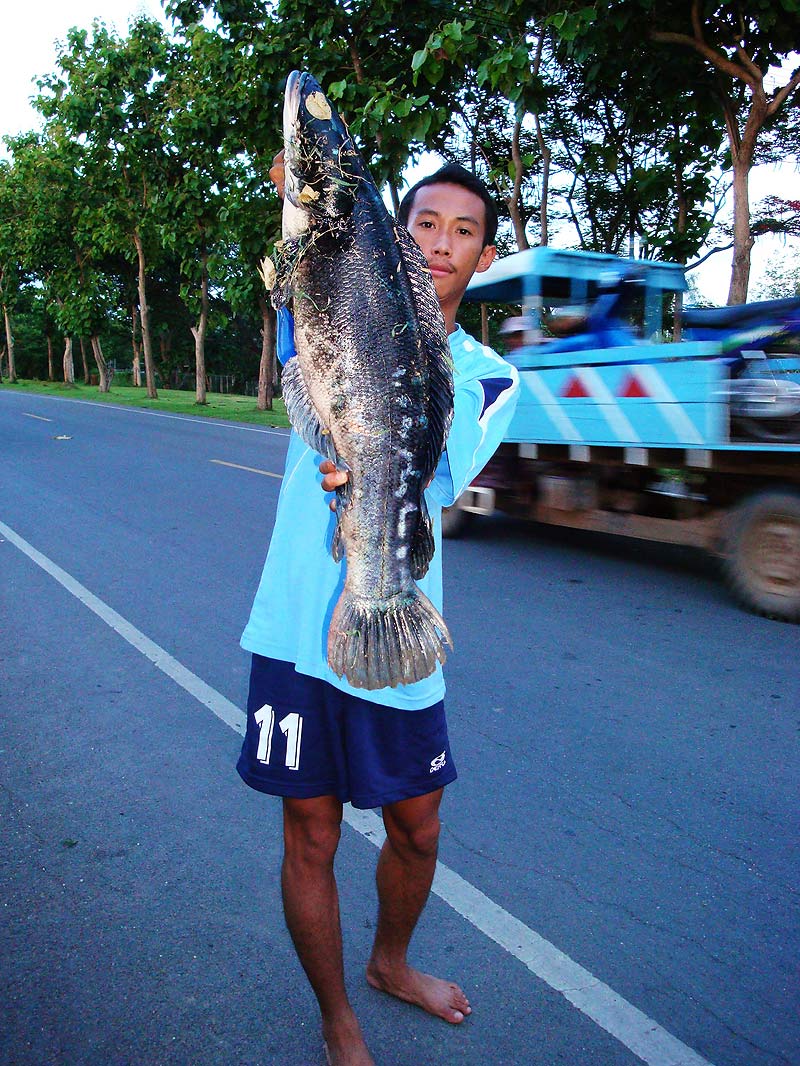 น้า แฮ็ค บอกขออีกภาพเราจัดให้




 :cheer: :cheer: :cheer: :cheer: