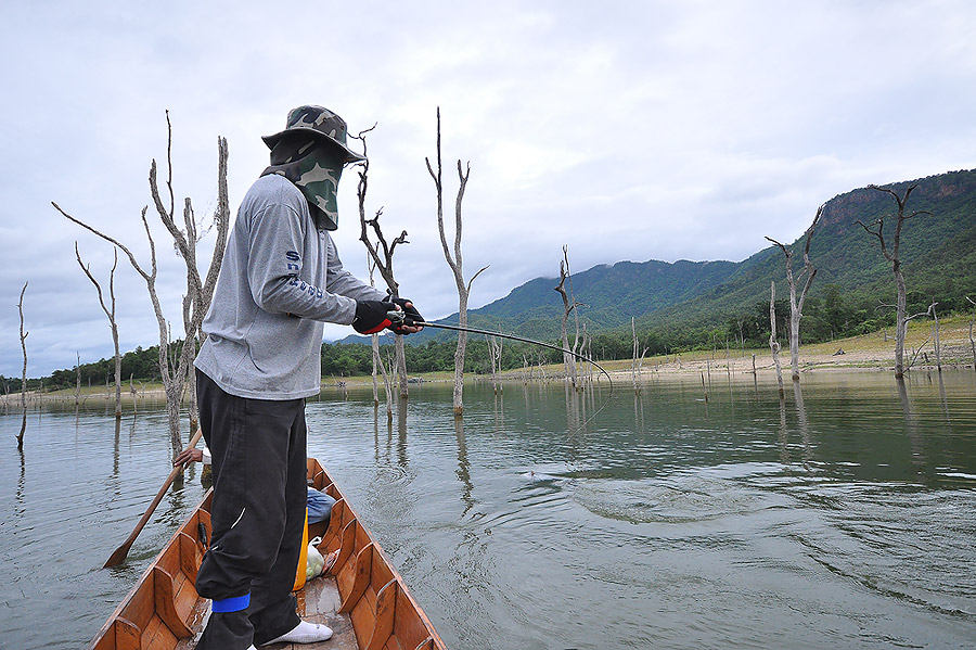 ไม่ผิดหวังครับสำหรับวันนี้  จากเมื่อวานน้าคิดขับเรือทั้งวันหาหมายบ่เจอ
วันนี้ขอเป็นเรือหางยาวเจ้าถิ