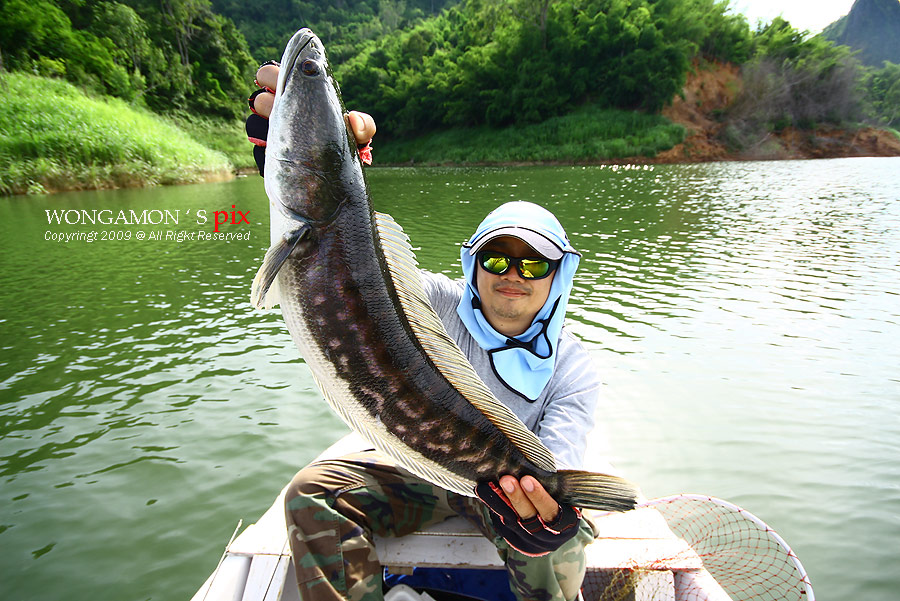 เอาอีก เอาอีก.....เอาๆๆ...ไม่ว่ากานนนนน..... :laughing: :laughing: :laughing: :laughing:

หน้าบานเ