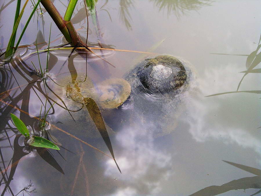  [b]ลากันด้วยภาพสุดท้าย  ฝนใหม่ก็เงี้