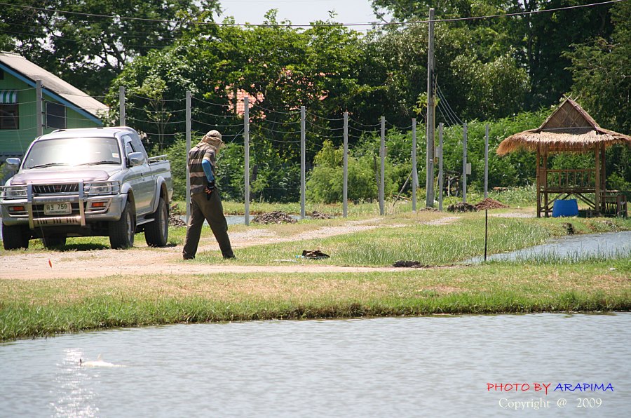  :grin: :grin:  น้าทางโน้นก้อโดนเหมือนกันครับ......ถ่ายไม่ทันตอนเอาปลาขึ้นอะ   :laughing: :laughing: