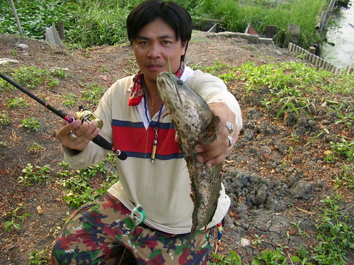 และนี่ผมเอง  :laughing: :laughing: :laughing: :laughing: :laughing: