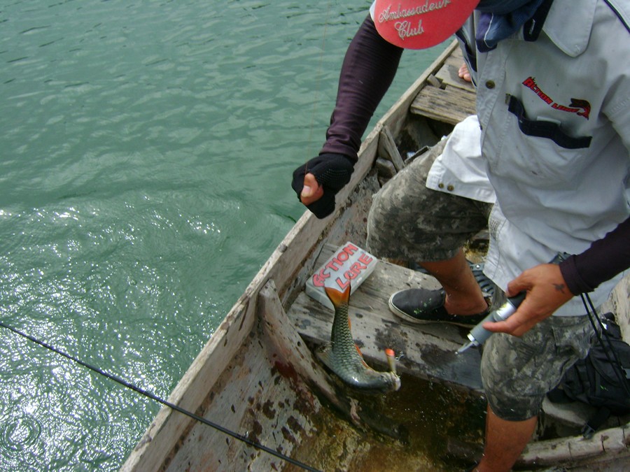 ว้าว..........ร้อนแรงจริงๆพอลงมือปุ๊บก็มีปลาขึ้นเรือเลยคร้าบบบบ :grin: