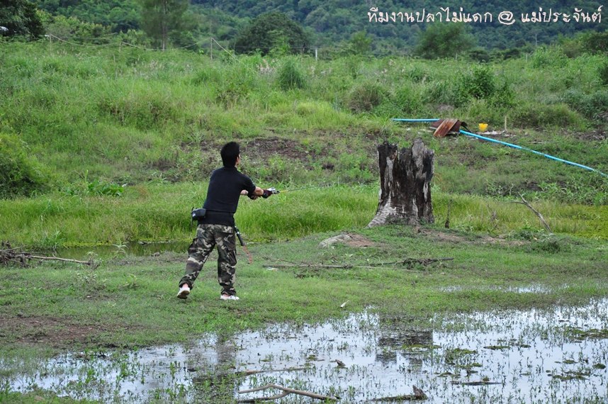 


แอบดูน้ากรหวด

หวดอะไรไม่รู้คับ  ไม่รู้ว่า ปลา  หรือ  ตอ

 :laughing: :laughing: :laughing