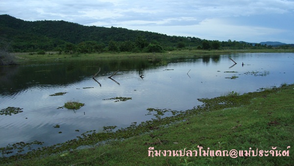มาดูหหมายสวยๆกันก่อนครับ :smile: :smile: