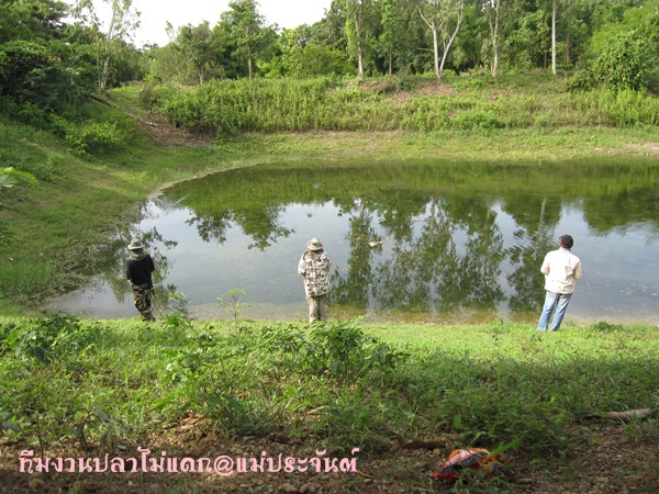 สามหนุ่มสามมุมครับ :laughing: :laughing: