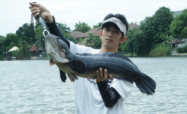 ตีไปประมาณ 28 ไม้  ด้วยเหยื่อ RAPALA CD 9  ตัวแรกก็กัดเข้าให้   :grin: :grin: