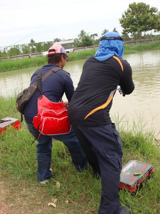ยืนตีข้างกันกินพร้อมกันปลาพาสายว่ายจะมาพันกันอีก :laughing: :laughing: :grin: :smile: