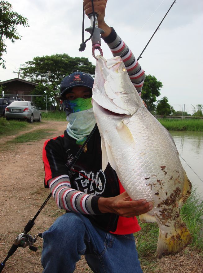  [q]...........ลากันด้วยภาพสุดท้ายของทริฟนี้ครับ ขอบพระคุณมิตรภาพความอบอุ่นที่ได้เจอน้าๆทุกๆท่านครับ