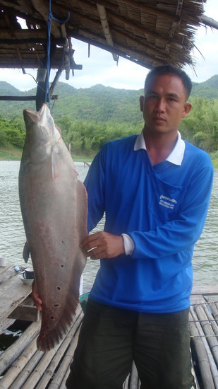 โชคเจ้าของแพซักรูป  :grin: