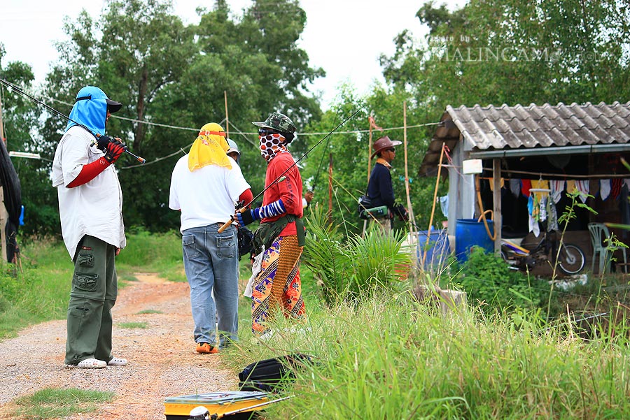 ได้เวลา บ่ายสามโมง

ก็ชวนกันกลับ  ไปหา กุเรา ที่บ่อเดิม กันต่อ