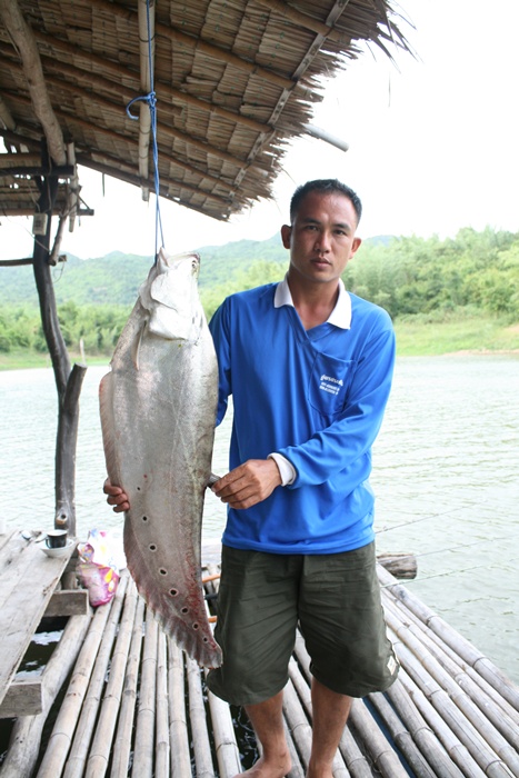 เจ้าของเเพ (ตัวสำรอง)(ตัวจิงคนที่น้านัชบอก)ขอโชว์มั้ง 
