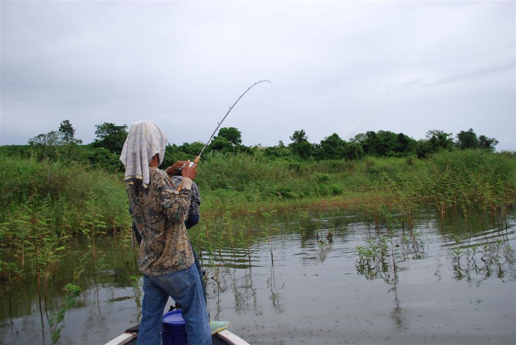 ซ้อมเรือเสร็จก็วิ่งรี่เข้าหมาย....พ่อมดชาวแขมร์ผู้หลงไหลในมนตร์ตราแห่งวิถีนายพรานก็อัดโดโด้ตัวเปิดเก