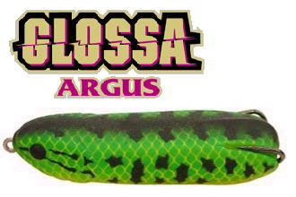  [b]20. Smith - Glossa Argus[/b]

ขนาด 85 มม.
ขนาด 25 กรัม
จำน