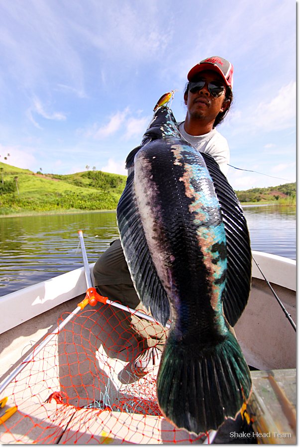  [q]ขนาดใหญ่ ๆ ได้ใจเลยนะเนี่ย [/q]

สวัสดีครับน้าnuifish 
