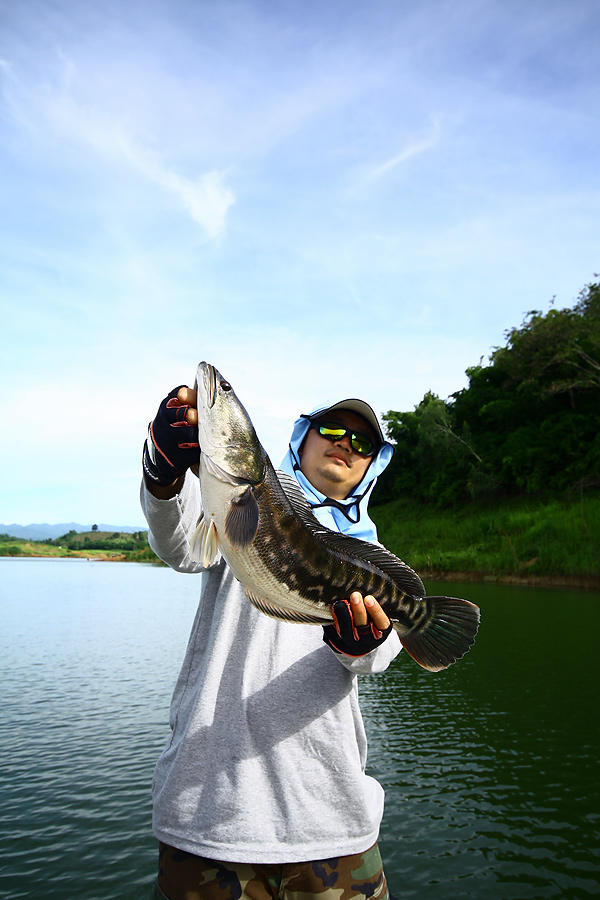 [q][i]อ้างถึง: อะราไพม่า posted: 23-07-2552, 17:54:45[/i]

 :grin: :grin:  สวัสดีครับ น้าธงชัย....