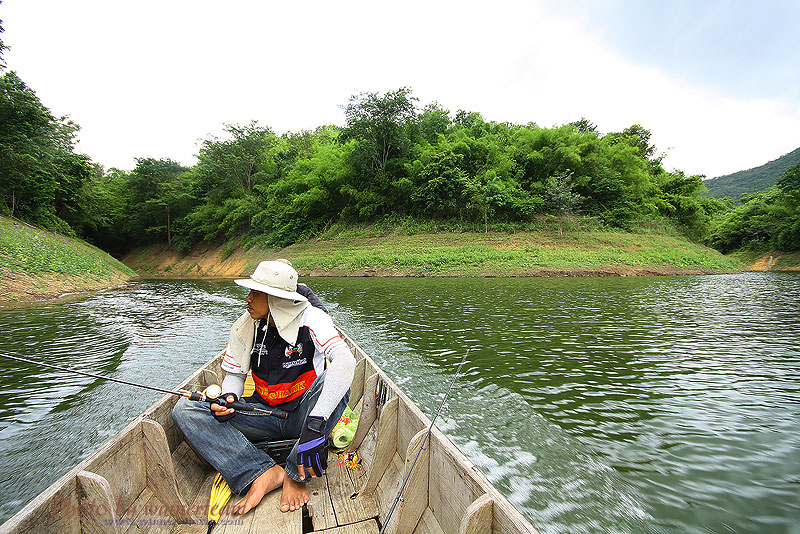 ย้ายหมาย :grin: