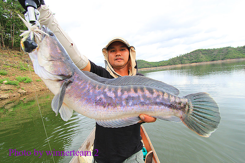 ไซด์นี้พี่ว่าก็โอนะ    P'หนึ่งบอกก

 :laughing: :laughing: :laughing: