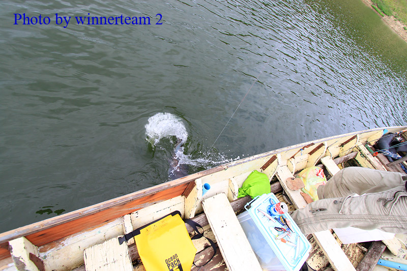 โดนจนได้


 :ohh: :ohh: :ohh: :ohh: